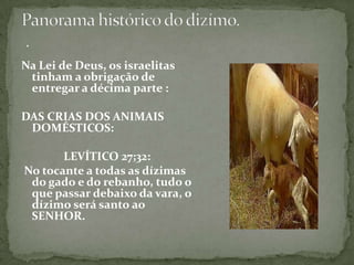 Na Lei de Deus, os israelitas tinham a obrigação de entregar a décima parte :DAS CRIAS DOS ANIMAIS DOMÉSTICOS:LEVÍTICO 27;32:No tocante a todas as dízimas do gado e do rebanho, tudo o que passar debaixo da vara, o dízimo será santo ao SENHOR.Panorama histórico do dizímo. .