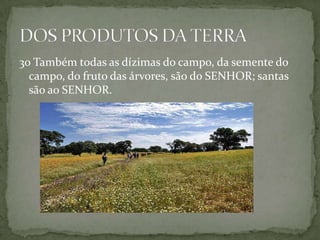 30 Também todas as dízimas do campo, da semente do campo, do fruto das árvores, são do SENHOR; santas são ao SENHOR.DOS PRODUTOS DA TERRA