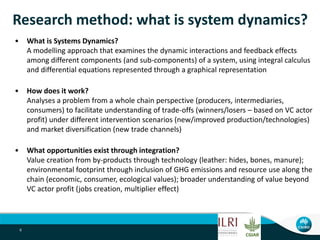 A system dynamics approach to chain/network analysis in the primary ...