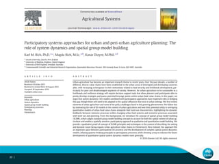 A system dynamics approach to chain/network analysis in the primary industry sector