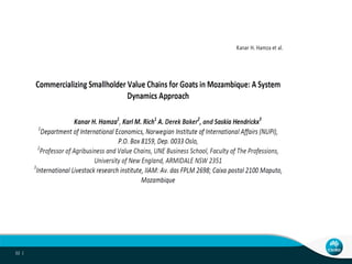 A system dynamics approach to chain/network analysis in the primary industry sector