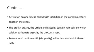 Contd....
• Activation on one side is paired with inhibition in the complementary
canal on the other.
• The otolith organs, the utricle and saccule, contain hair cells on which
calcium carbonate crystals, the otoconia, rest.
• Translational motion or tilt (via gravity) will activate or inhibit these
cells.
 