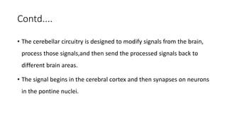 Contd....
• The cerebellar circuitry is designed to modify signals from the brain,
process those signals,and then send the processed signals back to
different brain areas.
• The signal begins in the cerebral cortex and then synapses on neurons
in the pontine nuclei.
 