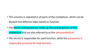 • This circuitry is repeated in all parts of the cerebellum, which can be
divided into different lobes based on function.
• The vermis and paravermis make up the central portion of the
cerebellum and are also referred to as the spinocerebellum.
• The vermis is responsible for axial function, while the paravermis is
responsible primarily for limb function.
 