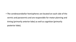 • The cerebrocerebellar hemispheres are located on each side of the
vermis and paravermis and are responsible for motor planning and
timing (primarily anterior lobe) as well as cognition (primarily
posterior lobe).
 