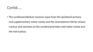 Contd....
• The cerebrocerebellum receives input from the ipsilateral primary
and supplementary motor cortex and the contralateral inferior olivary
nucleus and connects to the cerebral premotor and motor cortex and
the red nucleus.
 