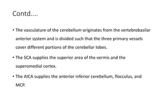 Contd....
• The vasculature of the cerebellum originates from the vertebrobasilar
anterior system and is divided such that the three primary vessels
cover different portions of the cerebellar lobes.
• The SCA supplies the superior area of the vermis and the
superomedial cortex.
• The AICA supplies the anterior inferior cerebellum, flocculus, and
MCP.
 