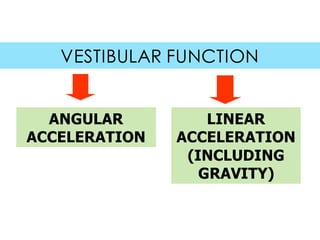 VESTIBULAR FUNCTION
ANGULAR
ACCELERATION
LINEAR
ACCELERATION
(INCLUDING
GRAVITY)
 