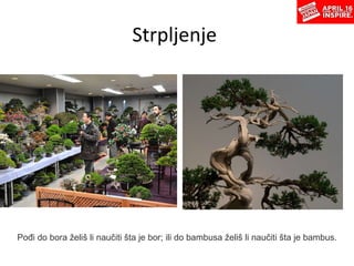 Strpljenje  Pođi do bora želiš li naučiti šta je bor; ili do bambusa želiš li naučiti šta je bambus. 