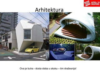Arhitektura  Ova   je buha   - dosta slaba u skoku   – tim dražesnija! 