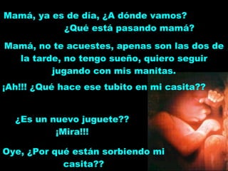 ¡Ah!!! ¿Qué hace ese tubito en mi casita?? Mamá, ya es de día, ¿A dónde vamos?  ¿Qué está pasando mamá? Mamá, no te acuestes, apenas son las dos de la tarde, no tengo sueño, quiero seguir jugando con mis manitas. ¿Es un nuevo juguete?? ¡Mira!!! Oye, ¿Por qué están sorbiendo mi casita?? 