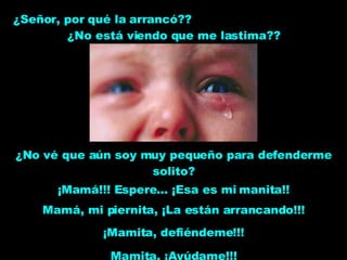 ¡Mamá!!! Espere... ¡Esa es mi manita!! ¿Señor, por qué la arrancó??  ¿No está viendo que me lastima?? ¡Mamita, defiéndeme!!! Mamita, ¡Ayúdame!!! ¿No vé que aún soy muy pequeño para defenderme solito? Mamá, mi piernita, ¡La están arrancando!!! 
