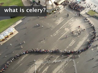 what is celery?
 
