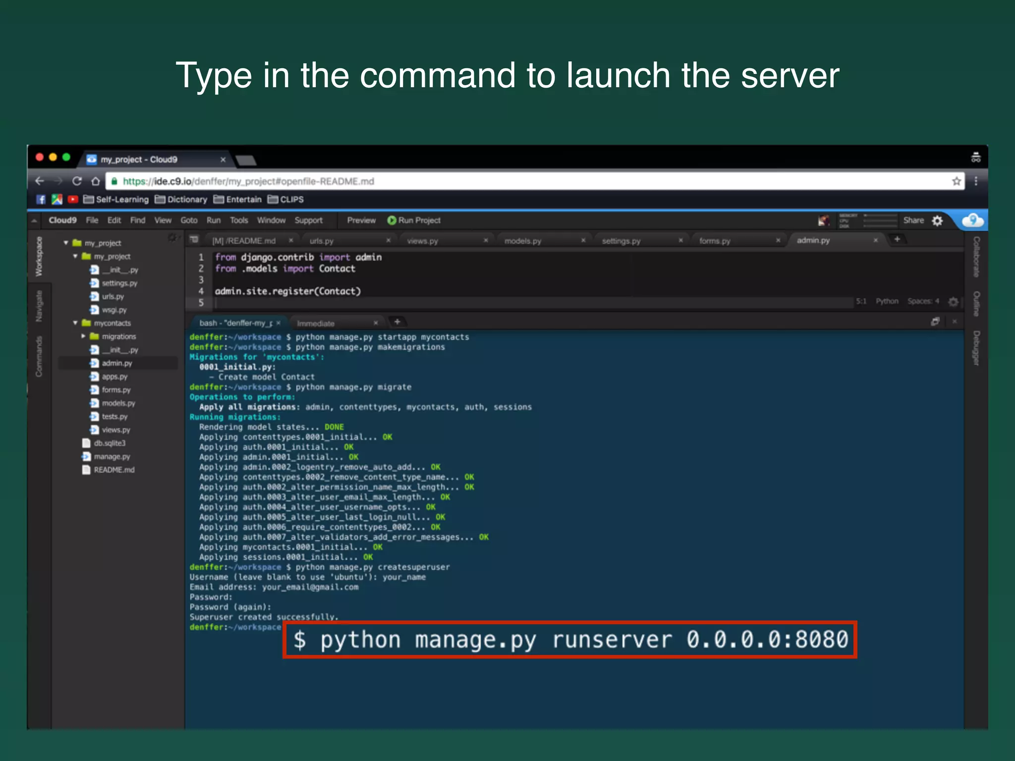 Type in the command to launch the server
 