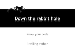 Down the rabbit hole


     Know your code

     Profiling python
 