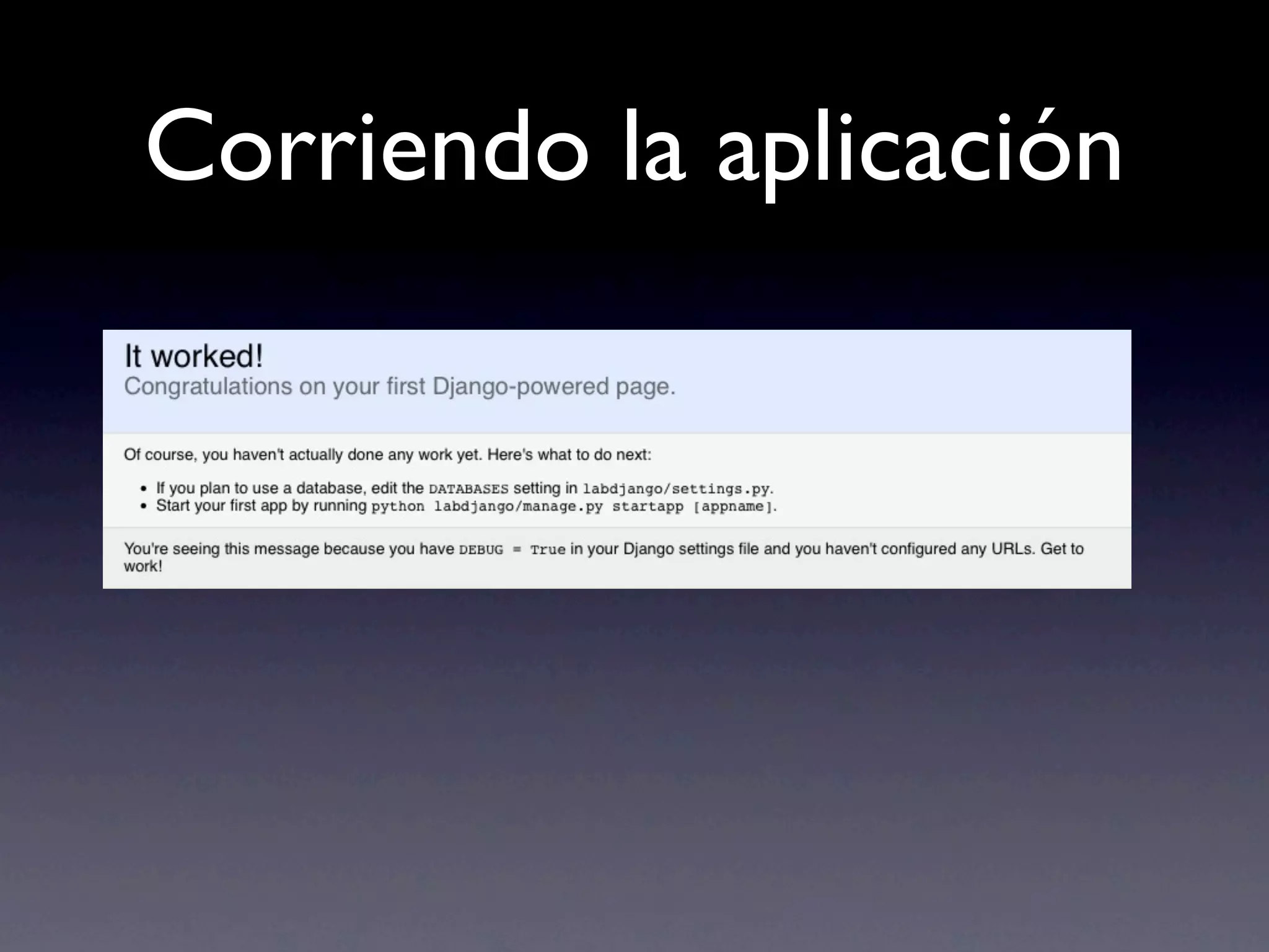 Corriendo la aplicación
 