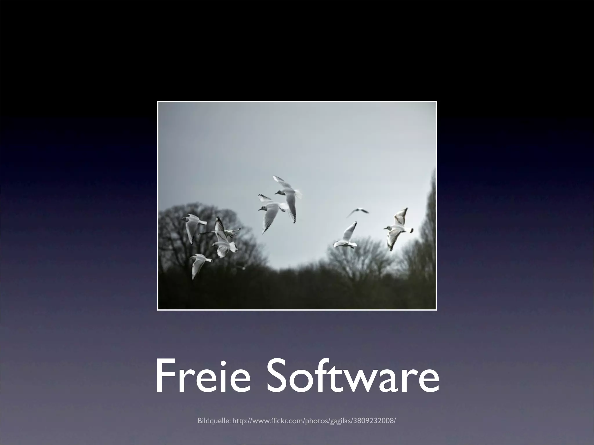 Freie Software
  Bildquelle: http://www.ﬂickr.com/photos/gagilas/3809232008/
 