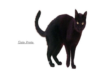 Gato Preto  Símbolo da capacidade de meditação e recolhimento espiritual, autoconfiança, independência e liberdade. Plena harmonia com o Unirverso.   