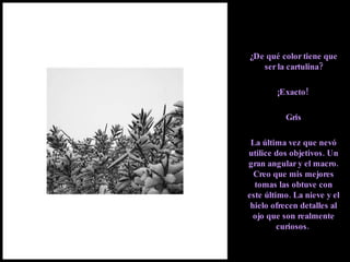 ¿De qué color tiene que ser la cartulina? ¡Exacto!  Gris La última vez que nevó utilice dos objetivos. Un gran angular y el macro. Creo que mis mejores tomas las obtuve con este último. La nieve y el hielo ofrecen detalles al ojo que son realmente curiosos.  