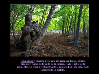 Gran angular . Cuando me lo compré quise venderlo al minuto siguiente. Ahora no lo quito de la cámara. ¿Veis el árbol de la izquierda?. Lo tenía a centímetros de la cámara. Esa es la manera de sacarle todo su partido.  