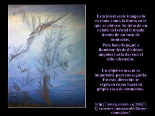 Esta interesante imagen lo es tanto como la forma en la que se obtuvo. Se trata de un detalle del cristal formado dentro de un vaso de tormentas.  Para hacerla jugué a iluminar desde distintos ángulos hasta dar con el sitio adecuado.  Un objetivo macro es importante para conseguirla. En esta dirección te explican como hacer tu propio vaso de tormentas.  http://amalgamado.es/2008/07/vaso-de-tormentas-de-fitzroy-stormglass/ 