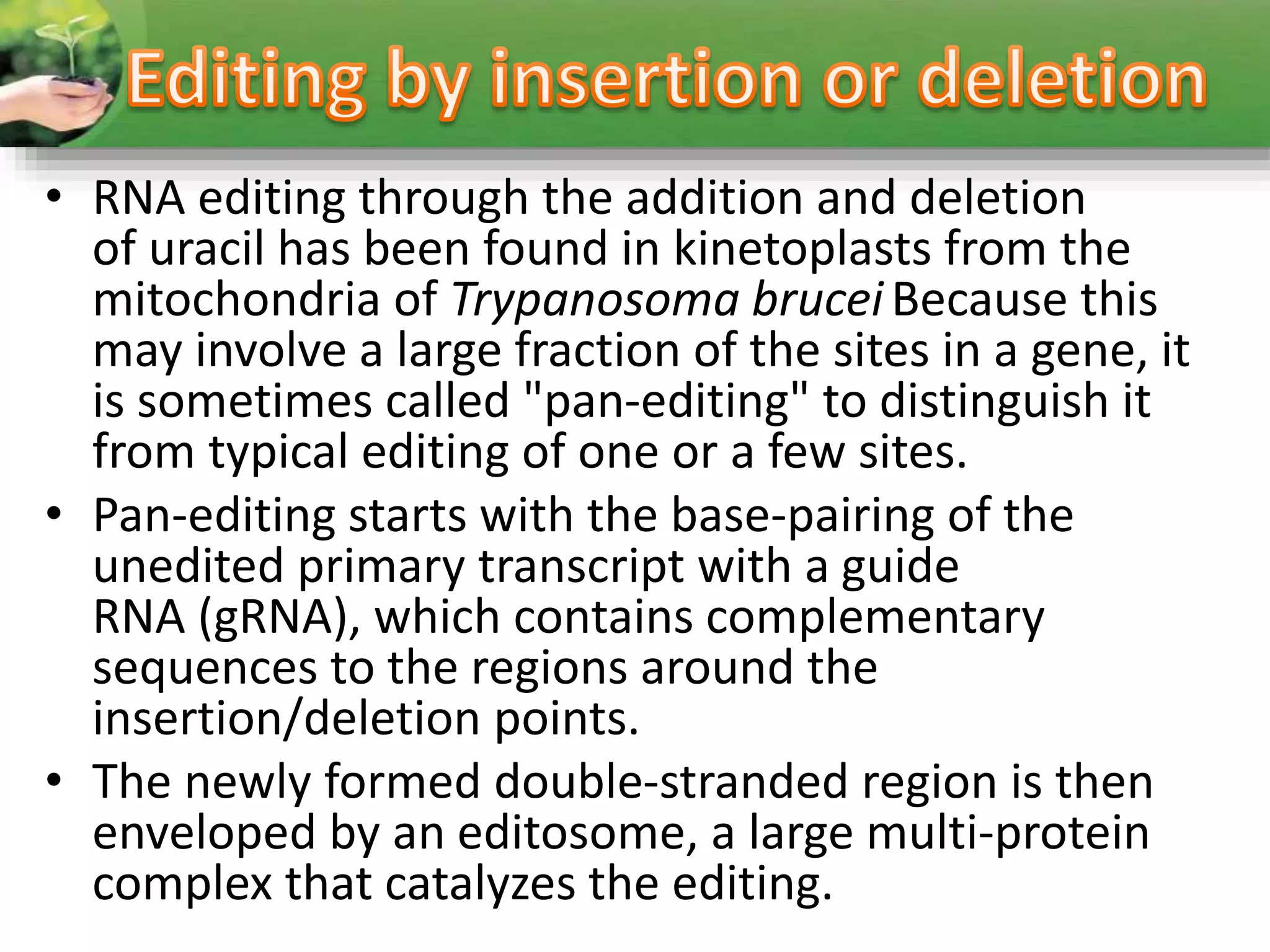 • RNA editing through the addition and deletion
of uracil has been found in kinetoplasts from the
mitochondria of Trypanosoma bruceiBecause this
may involve a large fraction of the sites in a gene, it
is sometimes called "pan-editing" to distinguish it
from typical editing of one or a few sites.
• Pan-editing starts with the base-pairing of the
unedited primary transcript with a guide
RNA (gRNA), which contains complementary
sequences to the regions around the
insertion/deletion points.
• The newly formed double-stranded region is then
enveloped by an editosome, a large multi-protein
complex that catalyzes the editing.
 