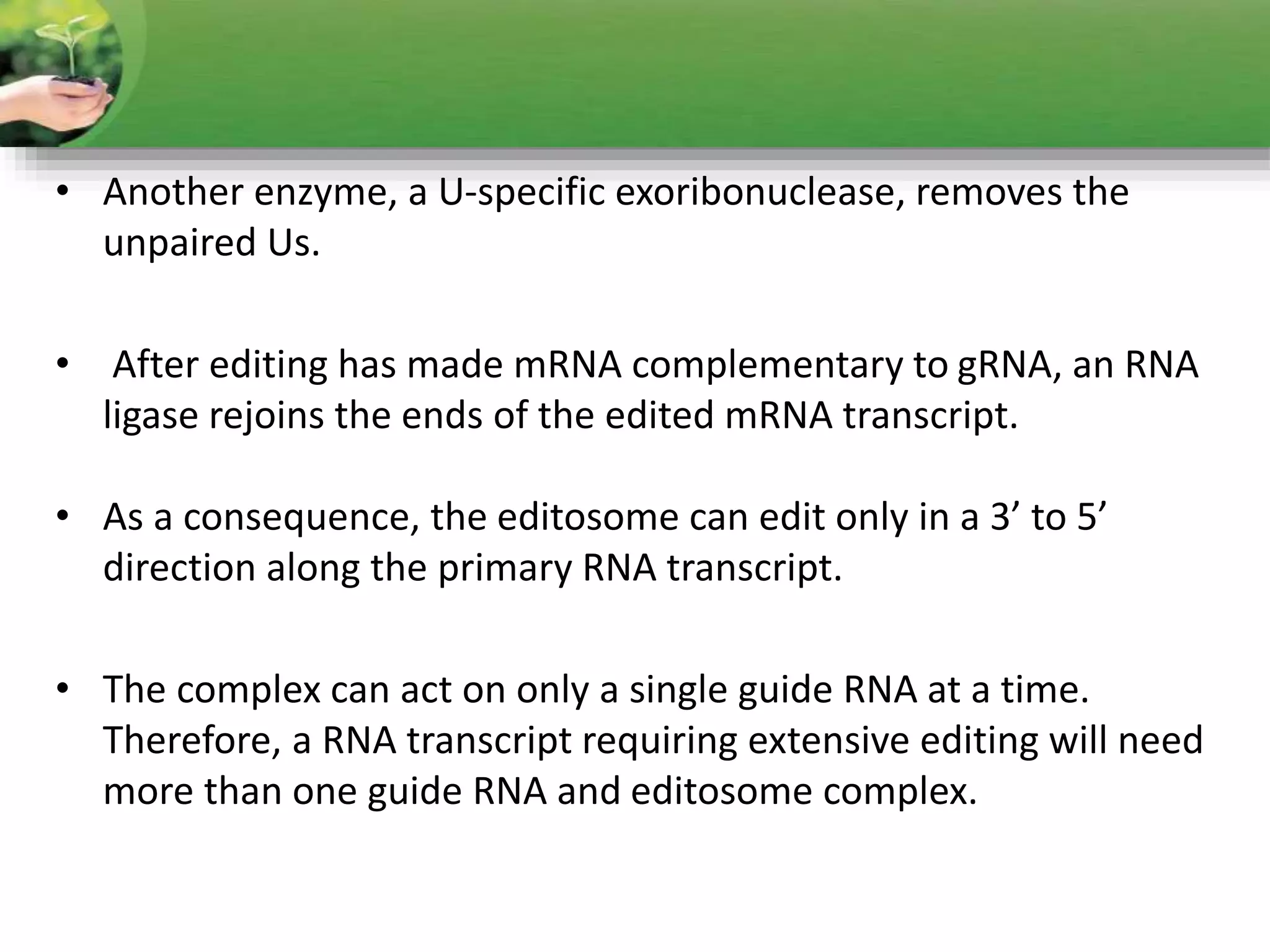• Another enzyme, a U-specific exoribonuclease, removes the
unpaired Us.
• After editing has made mRNA complementary to gRNA, an RNA
ligase rejoins the ends of the edited mRNA transcript.
• As a consequence, the editosome can edit only in a 3’ to 5’
direction along the primary RNA transcript.
• The complex can act on only a single guide RNA at a time.
Therefore, a RNA transcript requiring extensive editing will need
more than one guide RNA and editosome complex.
 