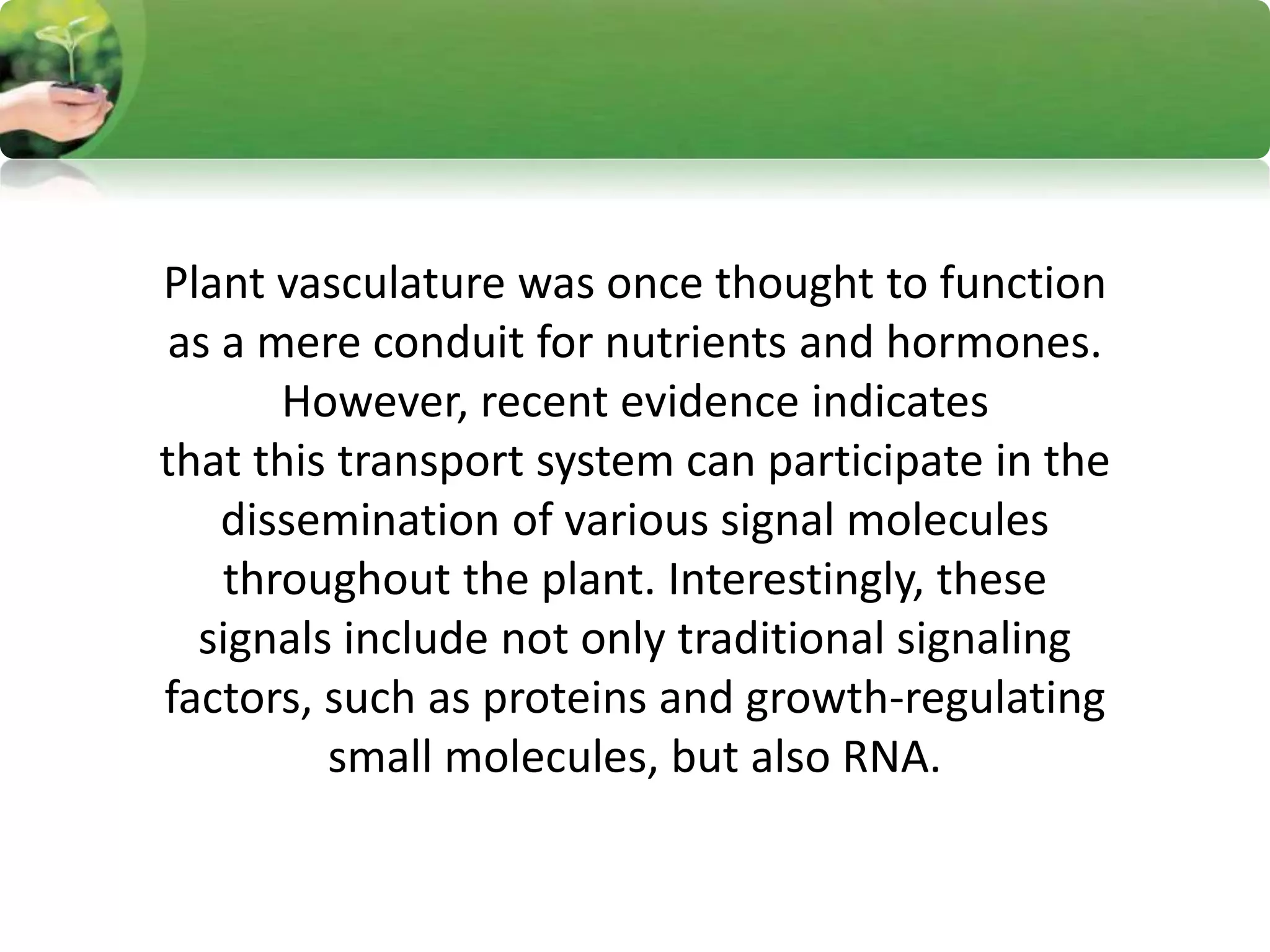Plant vasculature was once thought to function
as a mere conduit for nutrients and hormones.
However, recent evidence indicates
that this transport system can participate in the
dissemination of various signal molecules
throughout the plant. Interestingly, these
signals include not only traditional signaling
factors, such as proteins and growth-regulating
small molecules, but also RNA.
 