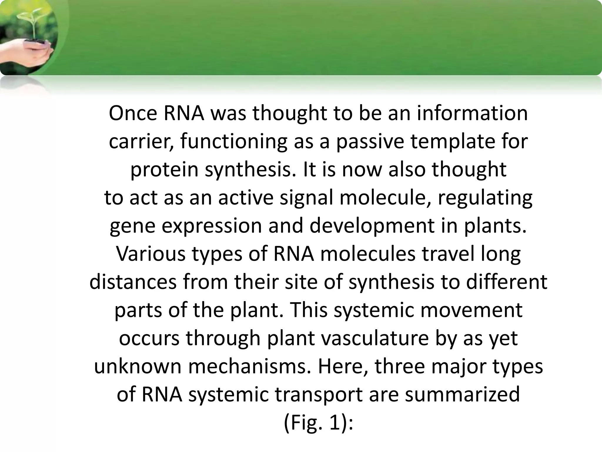Once RNA was thought to be an information
carrier, functioning as a passive template for
protein synthesis. It is now also thought
to act as an active signal molecule, regulating
gene expression and development in plants.
Various types of RNA molecules travel long
distances from their site of synthesis to different
parts of the plant. This systemic movement
occurs through plant vasculature by as yet
unknown mechanisms. Here, three major types
of RNA systemic transport are summarized
(Fig. 1):
 