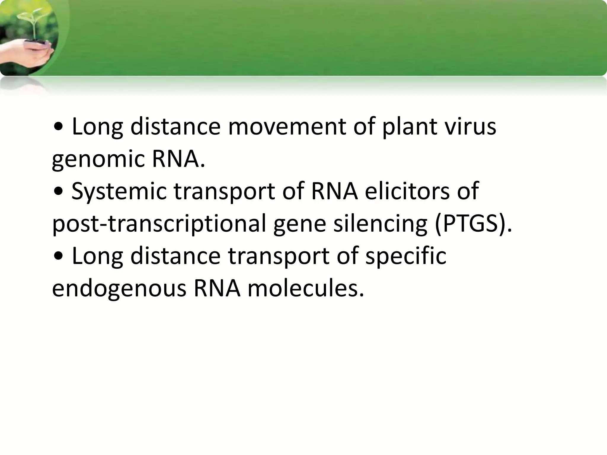 • Long distance movement of plant virus
genomic RNA.
• Systemic transport of RNA elicitors of
post-transcriptional gene silencing (PTGS).
• Long distance transport of specific
endogenous RNA molecules.
 