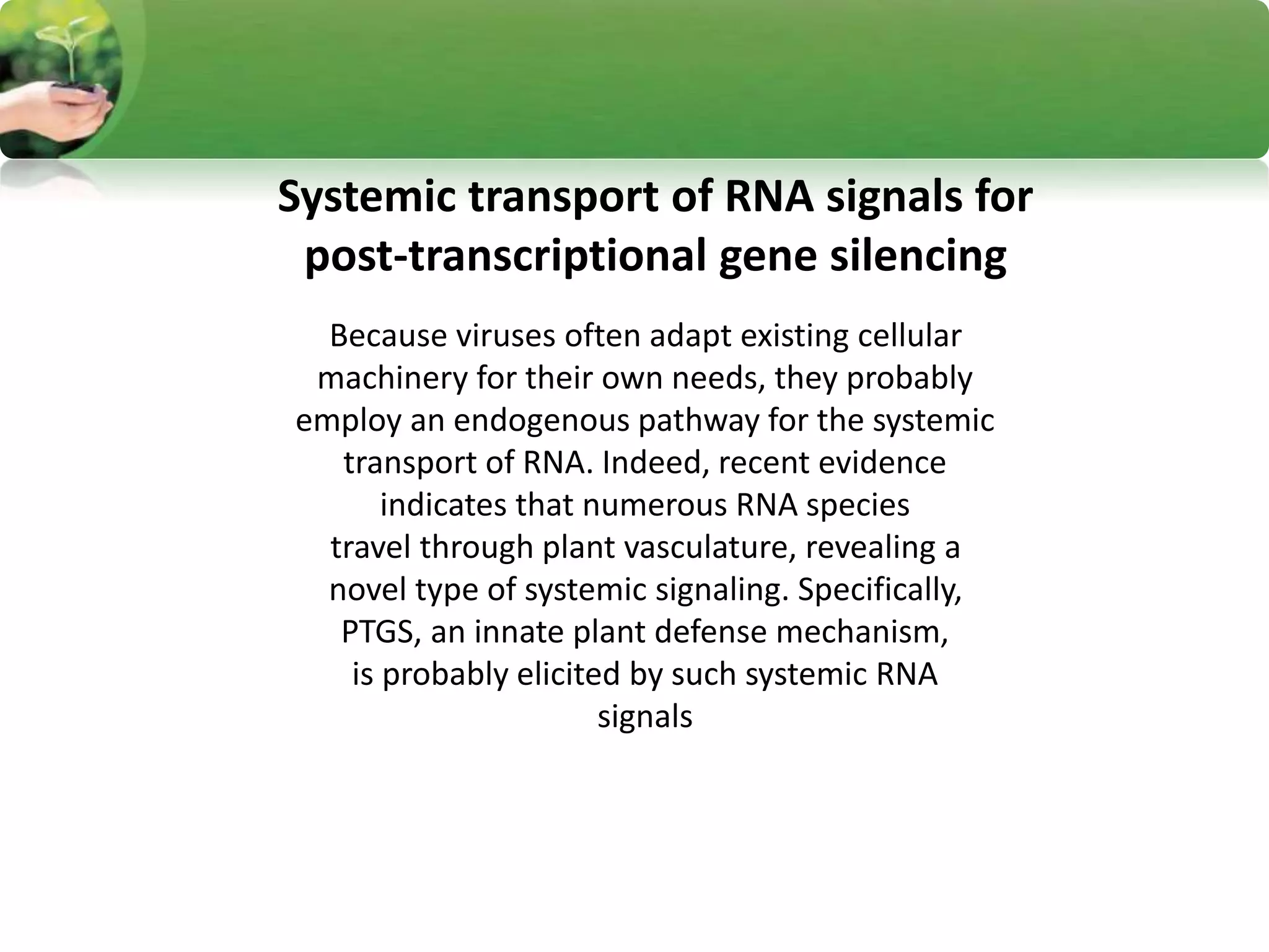 Systemic transport of RNA signals for
post-transcriptional gene silencing
Because viruses often adapt existing cellular
machinery for their own needs, they probably
employ an endogenous pathway for the systemic
transport of RNA. Indeed, recent evidence
indicates that numerous RNA species
travel through plant vasculature, revealing a
novel type of systemic signaling. Specifically,
PTGS, an innate plant defense mechanism,
is probably elicited by such systemic RNA
signals
 
