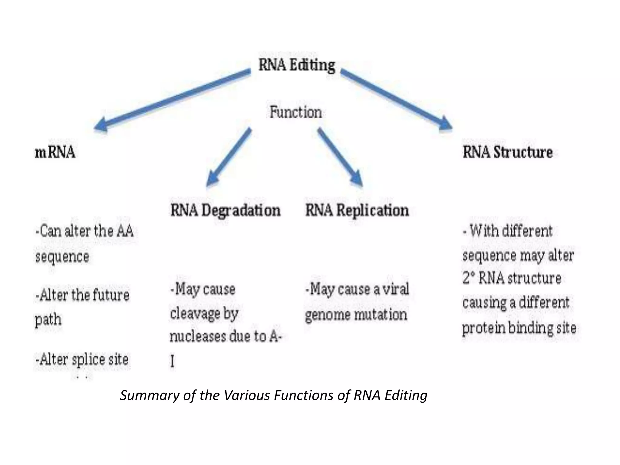 Summary of the Various Functions of RNA Editing
 