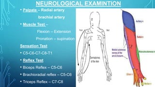 Elbow examination and its clinical applied | PPTX
