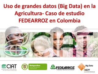 Uso de grandes datos (Big Data) en la
Agricultura- Caso de estudio
FEDEARROZ en Colombia

Big Data
www.ciat.cgiar.org

Agricultura Eco-Eficiente para Reducir la Pobreza

 