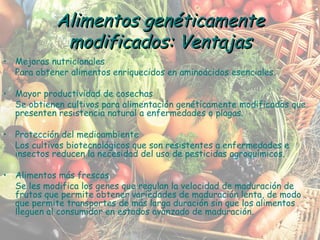 Mejoras nutricionales Para obtener alimentos enriquecidos en aminoácidos esenciales. Mayor productividad de cosechas Se obtienen cultivos para alimentación genéticamente modificados que presenten resistencia natural a enfermedades o plagas. Protección del medioambiente Los cultivos biotecnológicos que son resistentes a enfermedades e insectos reducen la necesidad del uso de pesticidas agroquímicos. Alimentos más frescos Se les modifica los genes que regulan la velocidad de maduración de frutos que permite obtener variedades de maduración lenta, de modo que permite transportes de más larga duración sin que los alimentos lleguen al consumidor en estados avanzado de maduración. Alimentos genéticamente modificados: Ventajas 