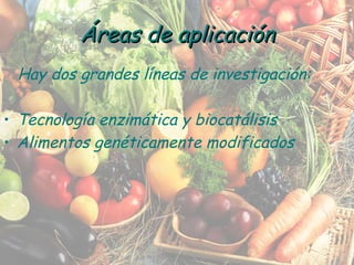 Hay dos grandes líneas de investigación: Tecnología enzimática y biocatálisis Alimentos genéticamente modificados Áreas de aplicación 
