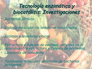 Bacterias lácticas. Biología molecular de levaduras industriales. Enzimas y levaduras vínicas. Estructura y función de enzimas: estudios de la relación entre estructura y función de proteínas. Levaduras de panadería. Taxonomía molecular: detección de bacterias patógenas. Tecnología enzimática y biocatálisis: Investigaciones 