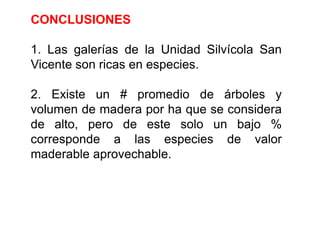 CONCLUSIONES1. Las galerías de la Unidad Silvícola San Vicente son ricas en especies.2. Existe un # promedio de árboles y volumen de madera por ha que se considera de alto, pero de este solo un bajo % corresponde a las especies de valor maderable aprovechable.