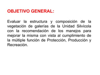 OBJETIVO GENERAL:Evaluar la estructura y composición de la vegetación de galerías de la Unidad Silvícola  con la recomendación de los manejos para mejorar la misma con vista al cumplimiento de la múltiple función de Protección, Producción y Recreación.
