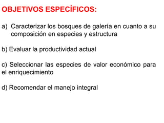 OBJETIVOS ESPECÍFICOS:Caracterizar los bosques de galería en cuanto a su composición en especies y estructurab) Evaluar la productividad actualc) Seleccionar las especies de valor económico para      el enriquecimientod) Recomendar el manejo integral
