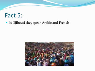 Fact 5:
 In Djibouti they speak Arabic and French
 