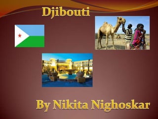 Djibouti By Nikita Nighoskar 