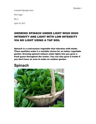 Djieudjie 1
Lionnelle Djieudjie Nana

Prof. Sager

Bio 2

April 10, 2012




GROWING SPINACH UNDER LIGHT WIGH HIGH
INTENSITY AND LIGHT WITH LOW INTENSITY
VIA NO LIGHT USING A TAP SOIL


Spinach is a cool-season vegetable that tolerates mild shade.
These qualities make it a suitable choice for an indoor vegetable
garden. Growing spinach indoors under lights lets you grow a
fresh green throughout the winter. You can also grow it inside if
you don't have an area to make an outdoor garden.


Spinach
 