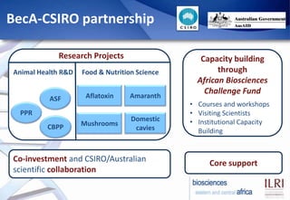 Biosciences eastern and central Africa – International Livestock ...