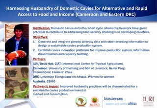 Biosciences eastern and central Africa – International Livestock ...