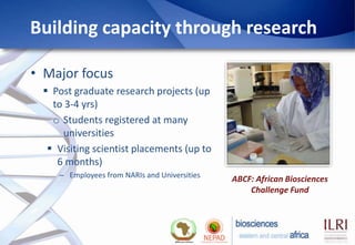 Biosciences eastern and central Africa – International Livestock ...
