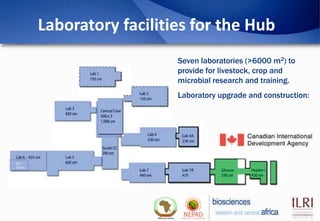 Biosciences eastern and central Africa – International Livestock ...