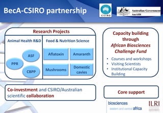 BecA-CSIRO partnership

             Research Projects                     Capacity building
 Animal Health R&D   Food & N...