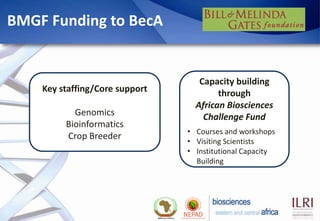 Biosciences eastern and central Africa – International Livestock Research Institute (BecA-ILRI) Hub: Its role on enhancing science and technology capacity in Africa