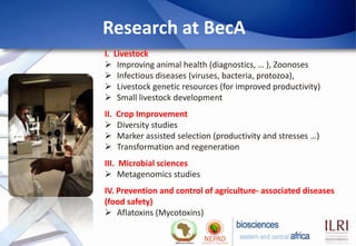 Biosciences eastern and central Africa – International Livestock Research Institute (BecA-ILRI) Hub: Its role on enhancing science and technology capacity in Africa